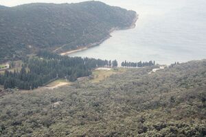 Vlada vraća maslinadu u Valdanos?