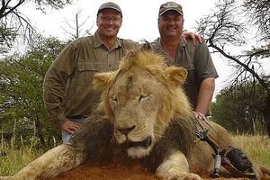 Ubistvo najpoznatijeg lava Zimbabvea izazvalo gnjev širom svijeta
