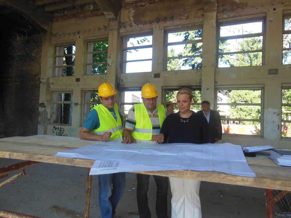 Sanja Vlahović, Tehnoplois