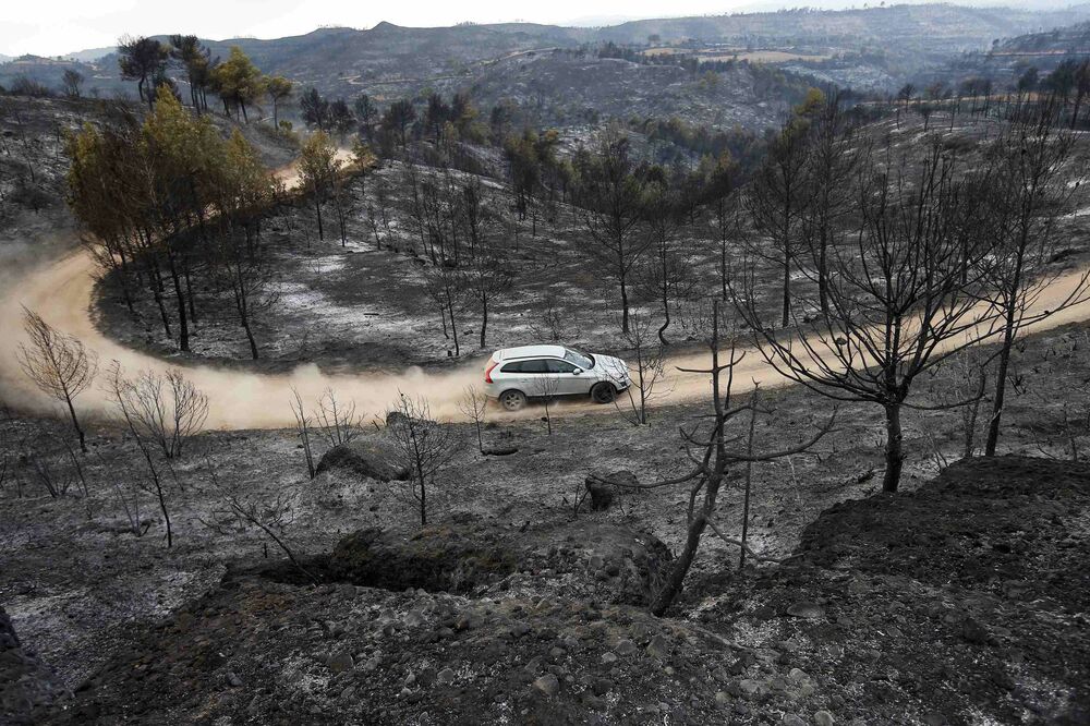 Španija, požar, opustošeno zemljište, Foto: Reuters