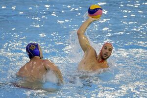 Klasik na startu - ajkule napadaju delfine