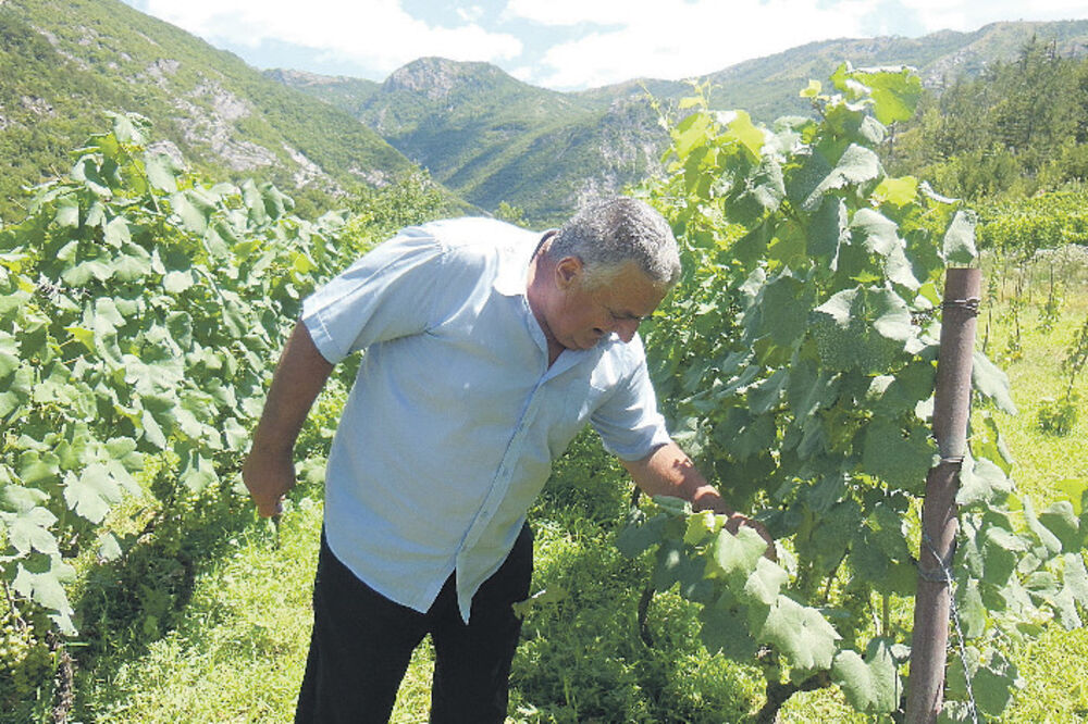 Aćim Dabović, Foto: Svetlana Mandić