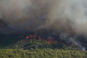Nakon pet dana borbe : Lokalizovani požari na području Pelješca,...