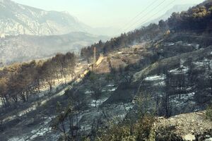 Hrvatska: Situacija s požarima na Pelješcu bolja