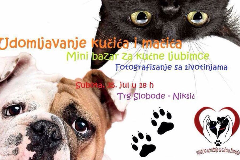 Udomljavanje pasa i mačaka, Foto: Facebook