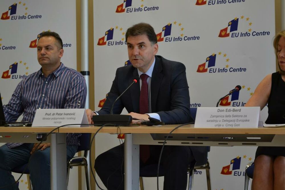 Petar Ivanović, Foto: EU Info Centar