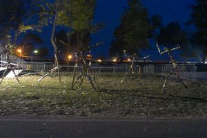 Nepoznati "umjetnik" napravio pornić od skulptura