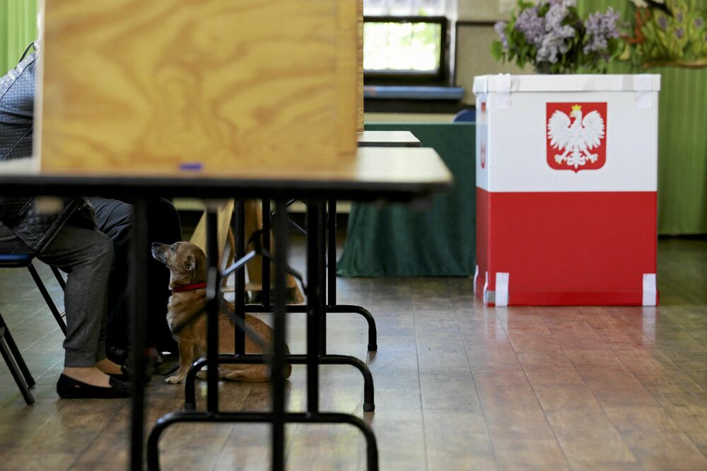 Poljska izbori, Foto: Reuters