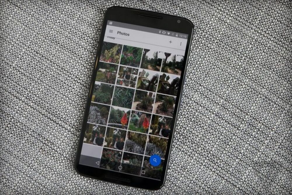 Google Photos, Foto: Theverge.com