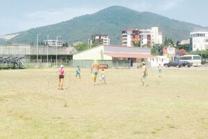 Vlada protiv prodaje Lugova