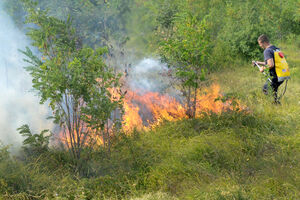 U Podgorici za 14 dana 362 požara