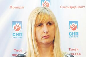 SNP: Uvesti princip poštovanja izborne volje građana