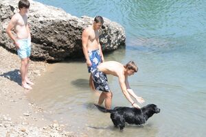 Pretežno sunčano, do 37 stepeni