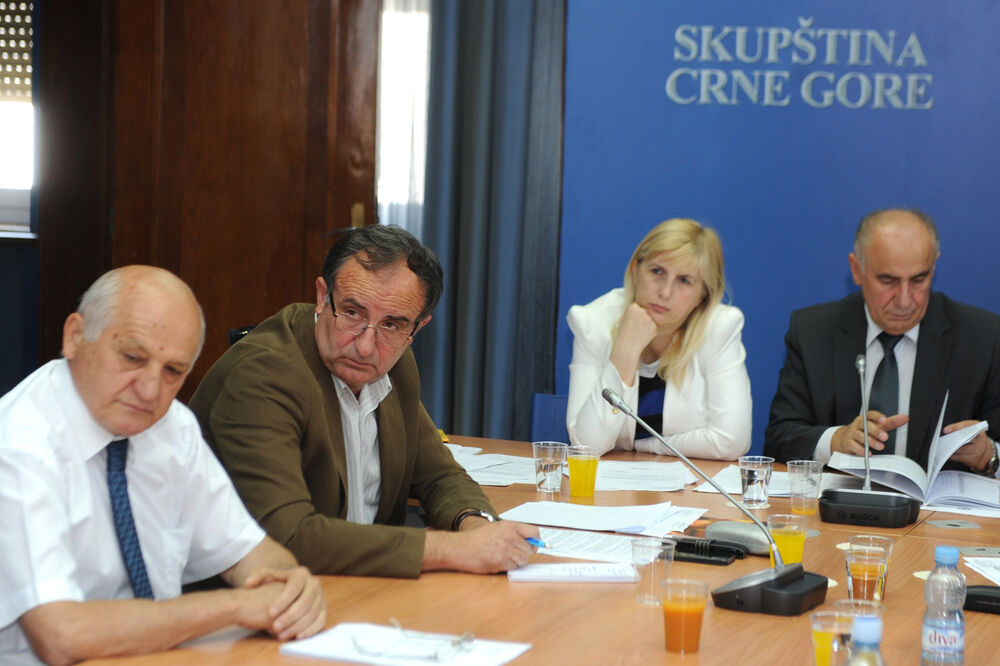 Odbor za politički sistem, Foto: Savo Prelević