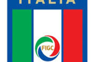 FS Italije suspendovao funkcionera zbog homofobije