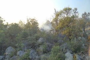 Lokalizovan požar u Bandićima: Vatra prijetila, kuće odbranjene