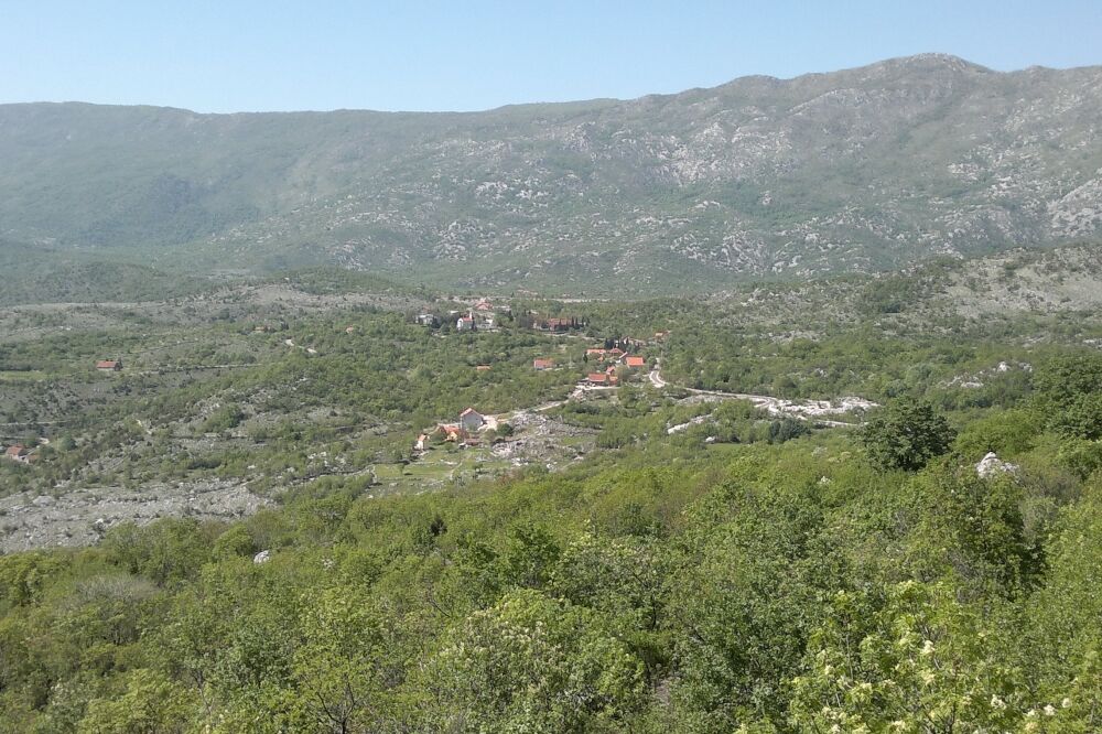 Bogetići, Foto: Darko Bulatović