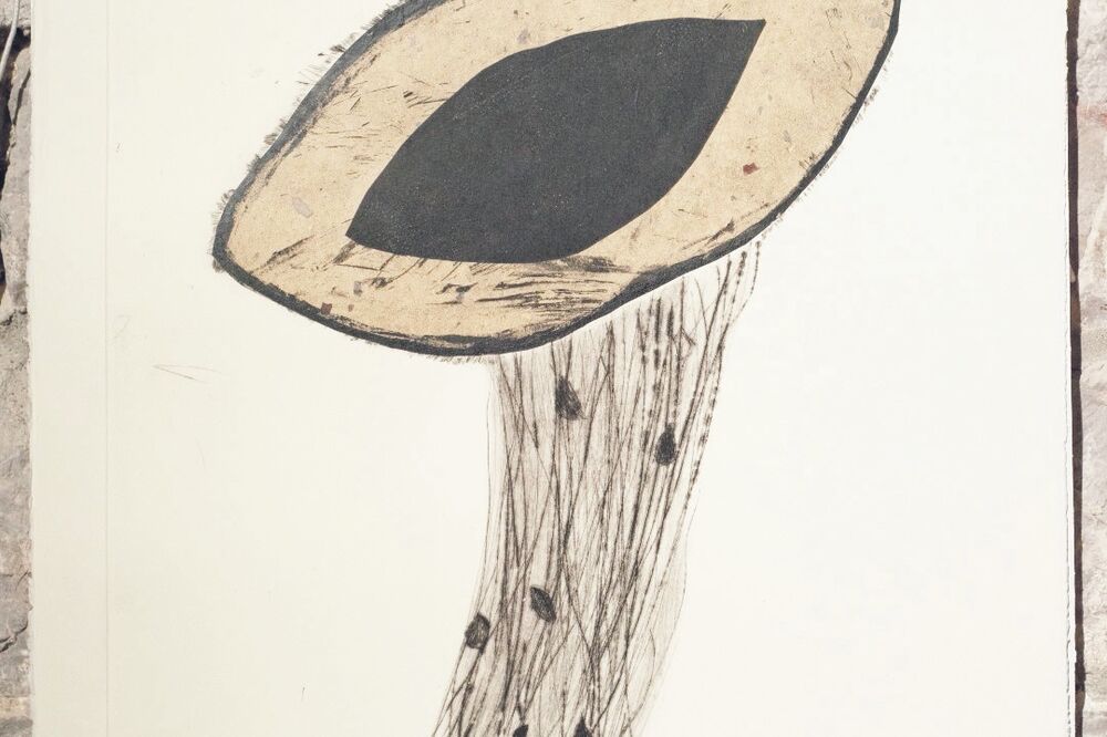 Izložba Budva, Foto: Vuk Lajović, Vuk Lajović