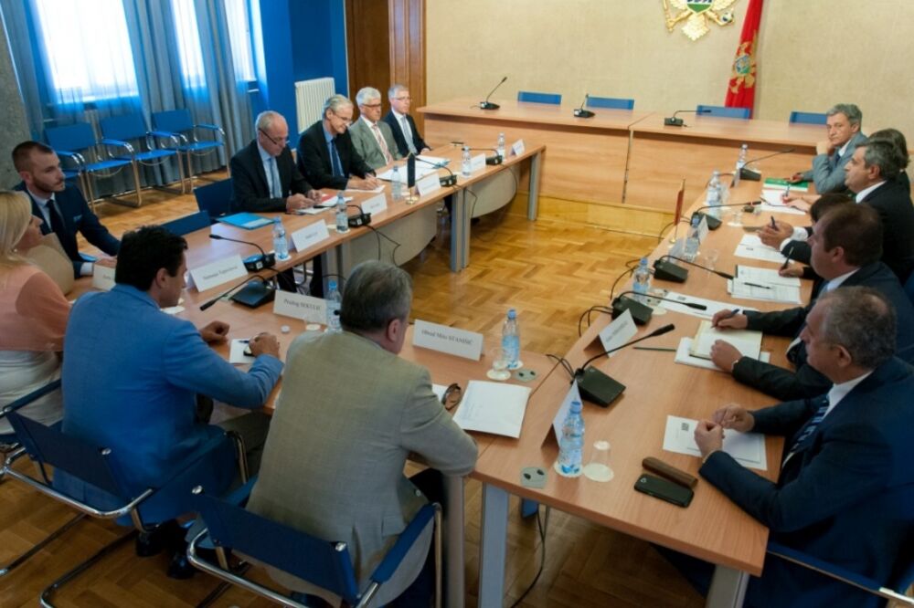 Kristijan Danijelson, Odbor za evropske integracije, Foto: Skupština.me