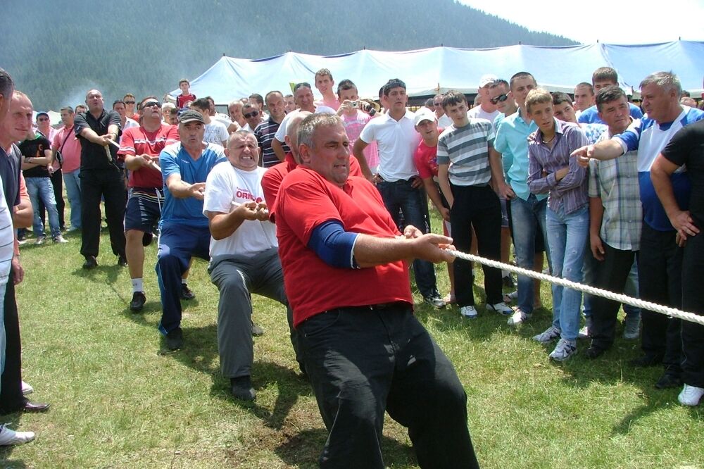 Dani planinskog cvijeća, Foto: Obrad Pješivac