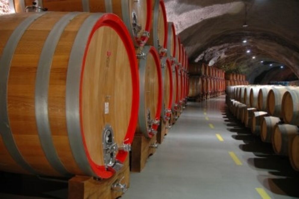 plantazee_2, Foto: B.PEJOVIĆ