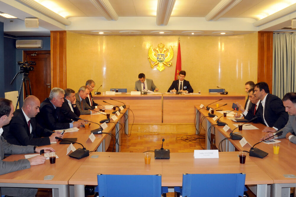 Odbor za ekonomiju, Foto: Luka Zeković