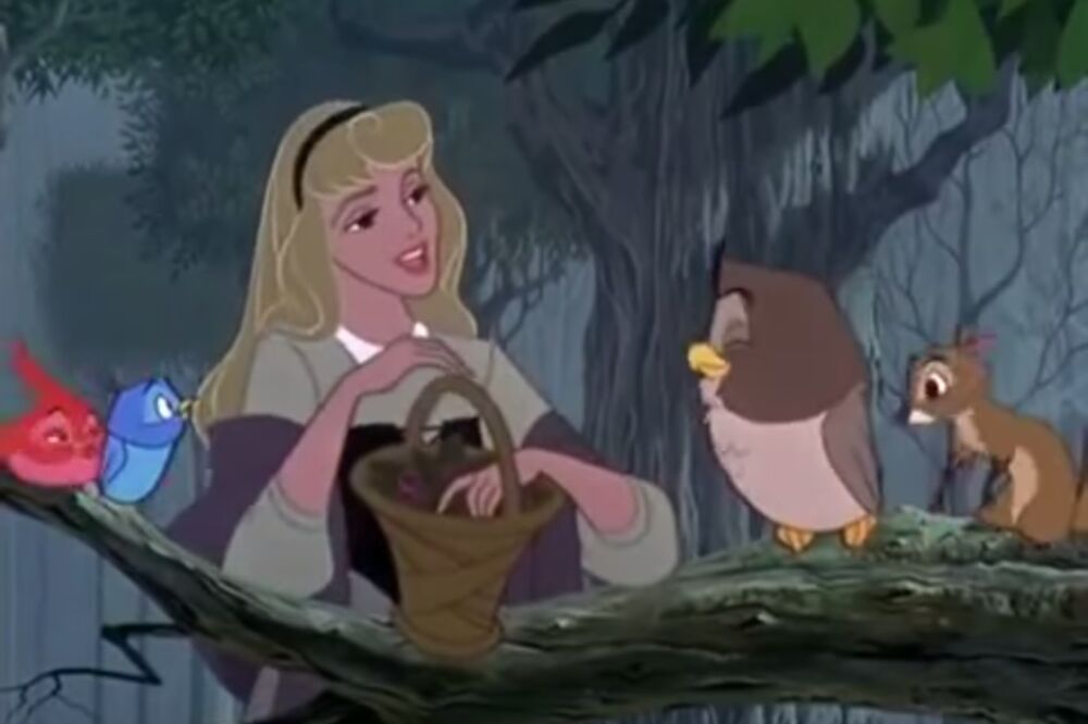 Uspavana ljepotica, Foto: Screenshot (YouTube)