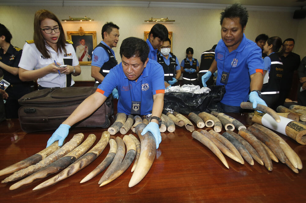 Tajland slonovača, Foto: Beta/AP