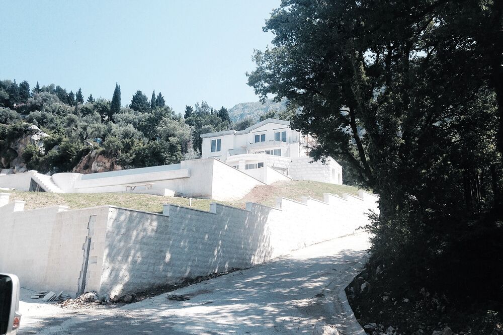 Vila, Vojislav Nedić, Foto: Vuk Lajović