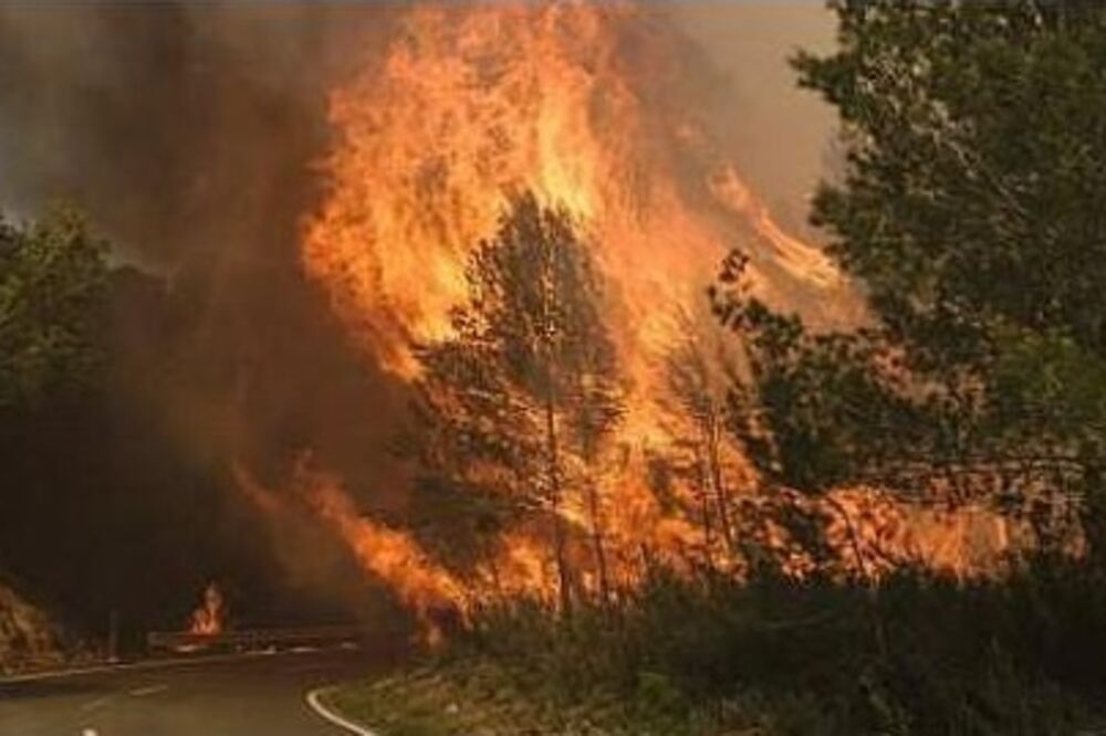 Španija požar, Foto: Twitter.com