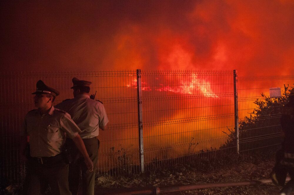 Čile požar, Foto: Reuters