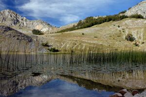 Porazno je da velik broj građana Podgorice nije vidio Bukumirsko i...