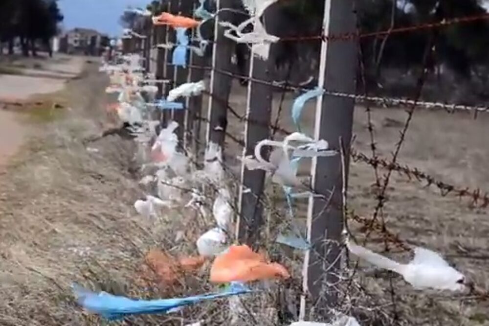 plastične kese, Foto: Screenshot (YouTube)