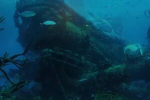 RCUD: U vodama Crne Gore vlada haos