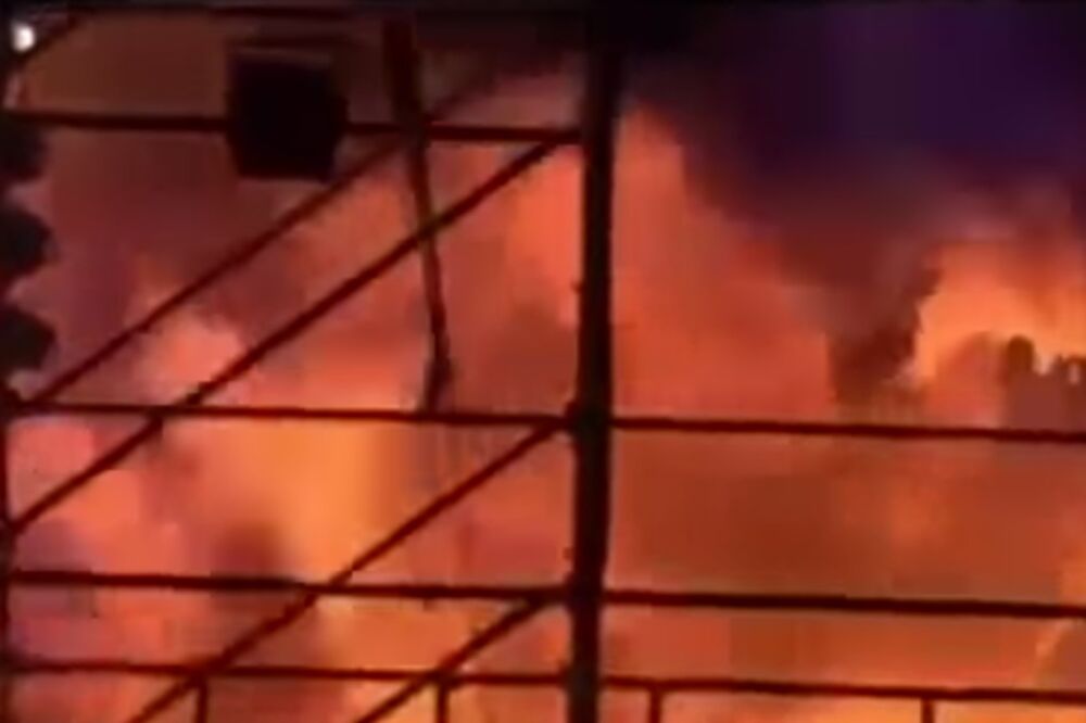 akva park Tajvan, Foto: Screenshot (YouTube)