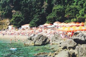 Boreta želi da zakupi Mogren