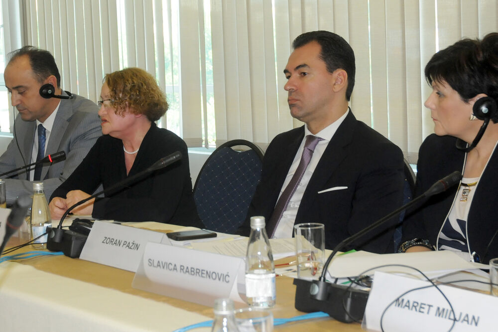 Uslovi u pritvoru, konferencija, Foto: Luka Zeković