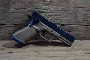 Špadijer prijavio puške i pištolje