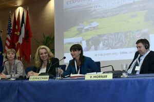 Vlahović na konferenciji u Udinama: Regionalno djelovanje brži put...