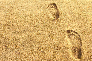 Najstariji otisci stopala u Sjevernoj Americi pronađeni u Kanadi