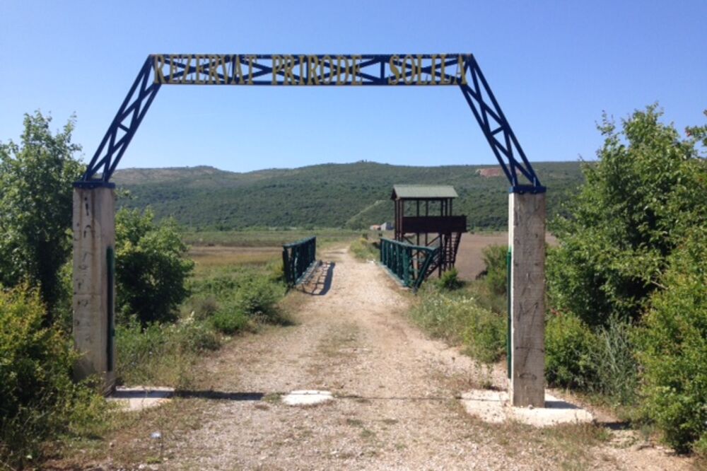 Tivatska solila, Foto: JP Morsko dobro