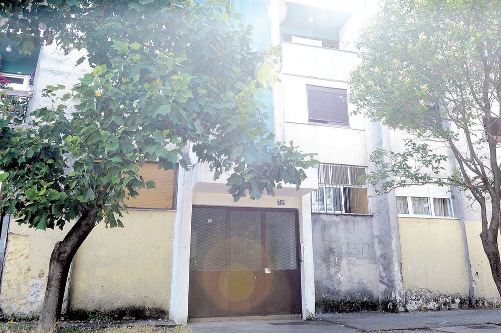 Igračkoteka, Foto: Savo Prelević