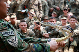 UZNEMIRUJUĆE: Vojnci piju zmijsku krv
