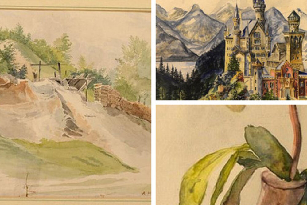 Hiler, akvareli, Foto: Twitter