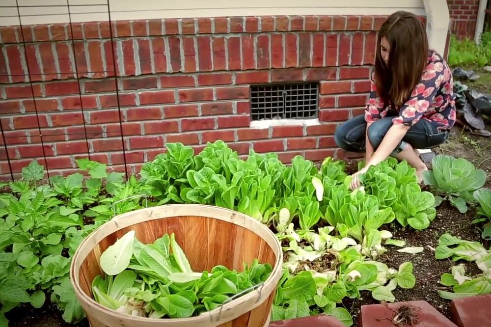 Keti Staljiano, Foto: Screenshot (YouTube)