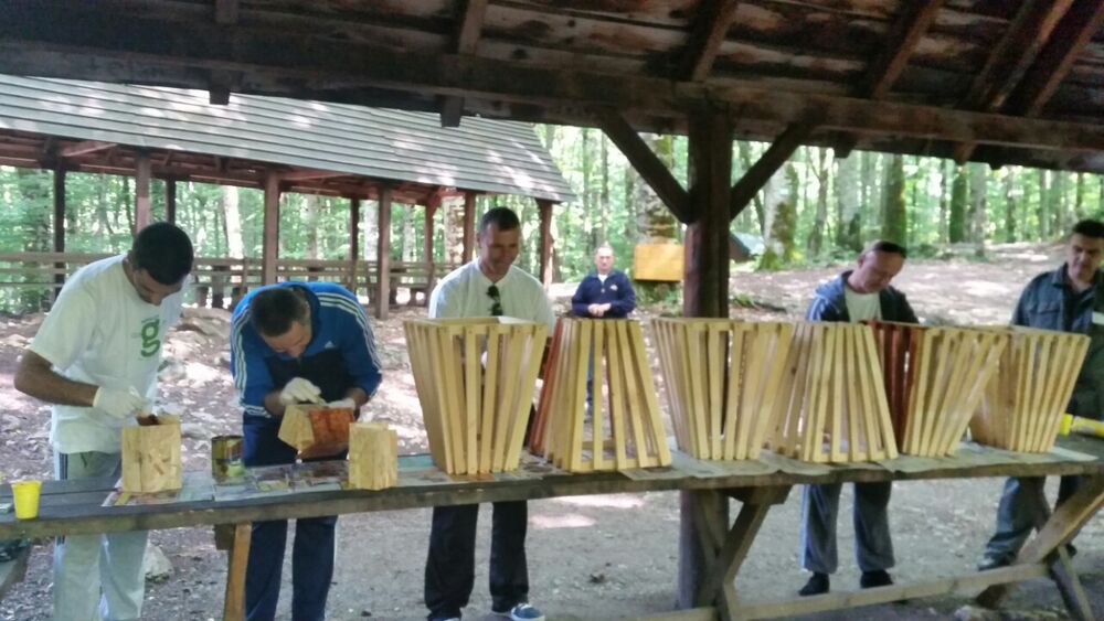 Biogradska gora, Wrigley kompanija
