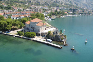 Kotor: Prezentacija podataka o morskim sisarima i kornjačama na...