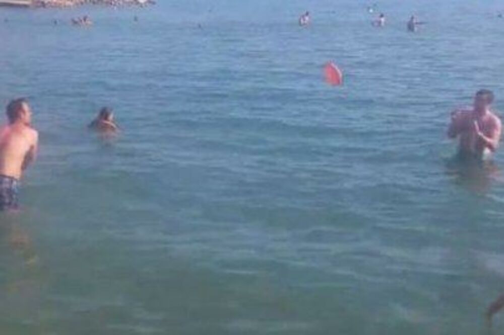 frizbi, Foto: Screenshot (YouTube)