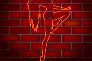 Bordel u Austriji nudi svoje usluge besplatno