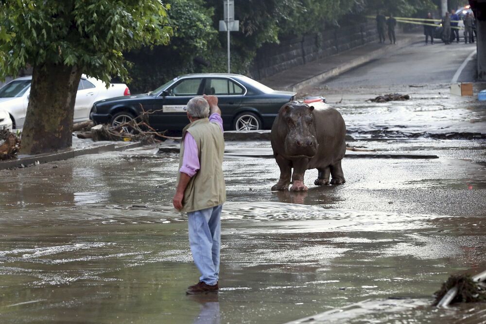 Gruzija, poplave, Foto: Reuters